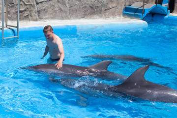 A young man, boy with big dolphins in blue water in water pool