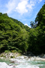 Fototapeta na wymiar 水質日本一と言われる仁淀川の上流、安居渓谷。四国の清流。高知　日本。９月中旬。