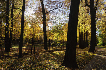 Alleys of city Park on a warm autumn day