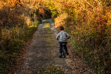 Obraz premium little boy from behing on a bicycle in utumn tree park