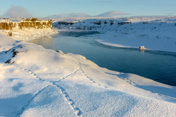 Ptarmigan tracks in the snow by Jokulsa a Fjollum river, near Selfoss waterfall, Iceland in early morning light