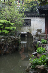 Fototapeta na wymiar pond in a japanese garden