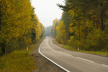 Fototapeta premium View on the perspective of the road with asphalt pavement. The road passes through the autumn forest. Tree leaves partially yellowed. In the distance, the headlights of an approaching car are visible.