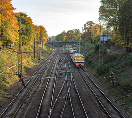 Railway infrastructure in colorful autumn colors in Riga, Latvia. Electric train riding through colorful birch alley. 