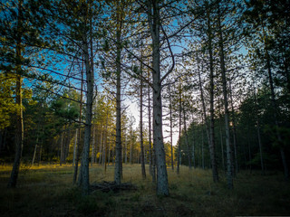 Cades Causse Noir Pouncho Millau Aveyron