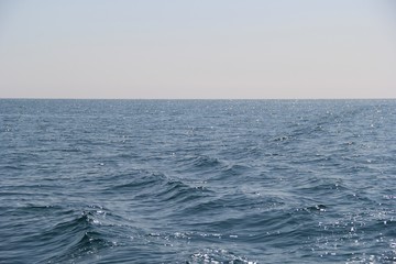 Fototapeta premium HOULE MARINE AU LARGE