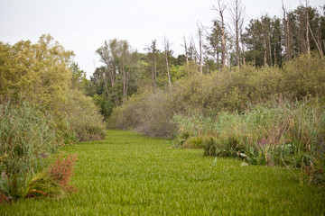 Obraz premium Landschaftsschutzgebiet