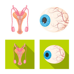 Vector illustration of body and human logo. Set of body and medical stock vector illustration.