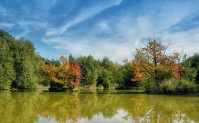 See im Naturschutzgebiet Ohligser Heide in Solingen,Bergisches Land,Nordrhein-Westfalen,Deutschland