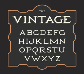 Obraz premium Vector set of vintage letters. Retro latin alphabet. Elegance old typeset. Serif letters collection.