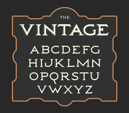 Vector set of vintage letters. Retro latin alphabet. Elegance old typeset. Serif letters collection.
