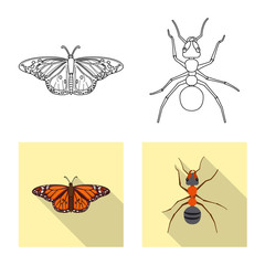 Vector illustration of insect and fly symbol. Collection of insect and element stock symbol for web.