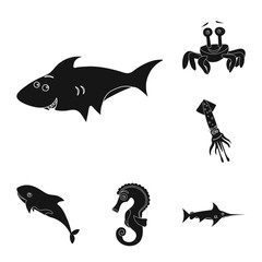 Vector illustration of sea and animal symbol. Set of sea and marine stock symbol for web.