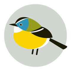 tit bird   vector illustration flat style profile side