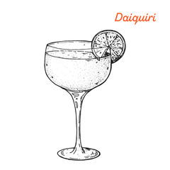 Daiquiri cocktail illustration. Alcoholic cocktails hand drawn vector illustration. Sketch style.