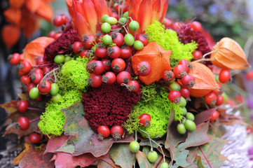 Rote Beeren, Herbststrauß mit Hagebutten und Physalis
