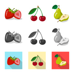 Vector illustration of vegetable and fruit sign. Collection of vegetable and vegetarian stock symbol for web.