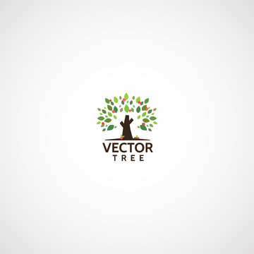 Vector fruit apple tree with green leaves, logo.