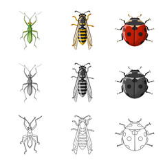 Vector illustration of insect and fly sign. Collection of insect and element vector icon for stock.