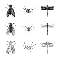 Vector illustration of insect and fly sign. Set of insect and element stock vector illustration.