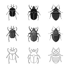 Isolated object of insect and fly sign. Set of insect and element stock symbol for web.