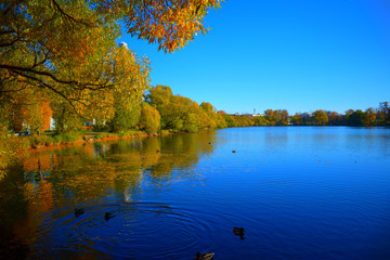 autumn landscape with lake and trees