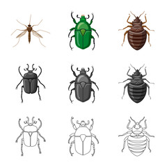 Isolated object of insect and fly icon. Set of insect and element stock symbol for web.