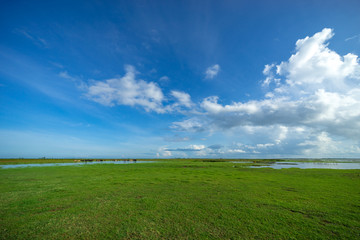 Morning view of lake Thale Noi, Phatthalung of Thailand.