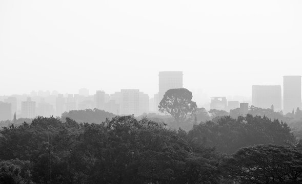 Cityscape of Sao Paulo on a foggy day.