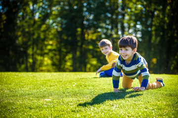Two happy boys playing on fresh green grass meadow. Tumble and smiling together brothers kids are best friends