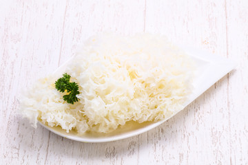 Picked wood mushroom