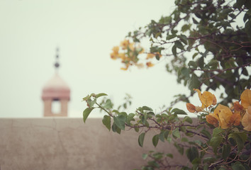 Flores amarillas con mezquita de fondo