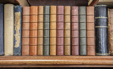 Libri allineati su uno scaffale