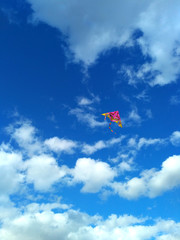 Pink and yellow kite with an eagle pattern and a rainbow tail flying in a deep blue sky with white cloud