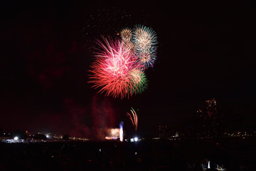 多摩川秋花火(Autumn firework at Tamagawa) 