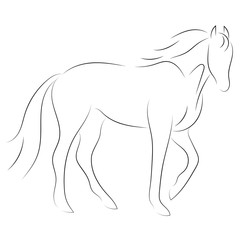 Black line horse on white background. Vector icon