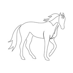 Black line horse on white background. Vector icon drawn by one continuous line