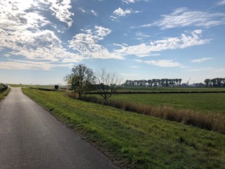 Felder der Wesermarsch mit Feldweg, einzelner Hafenkran klein im Hintergrund