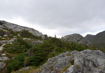 Fototapeta premium landscape along the Killick Coast, natural environment of the With Horse Path East Coast trail at Cape St Francis Avalon Peninsula, NL Canada 