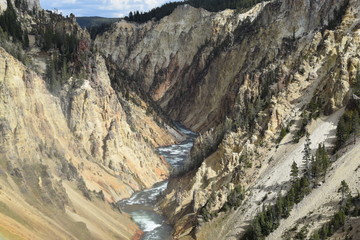 Canyon in Yellowstone National Park