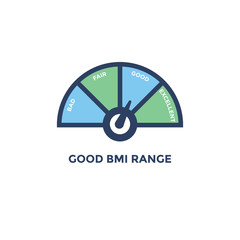 BMI - Body Mass Index Icon with with BMI range chart - green and blue