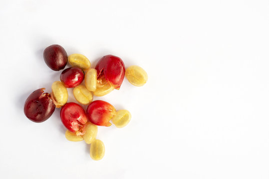 fresh skin of coffee cherries for made cascara tea eco-friendly unique drink