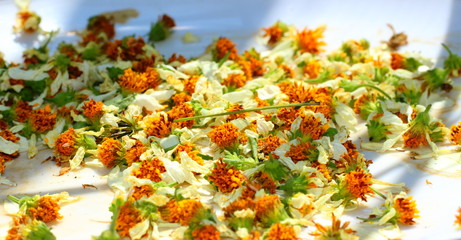 Dry yellow-white flowers in the sunlight. Head flowers background