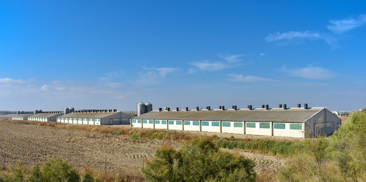 SEVERAL FARMS OF ANIMAL IN THE MIDDEL OF THE COUNTRY SIDE IN A SUNNY BLUE SKY 