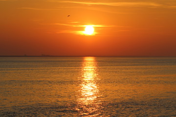 Nordsee. Impressionen.