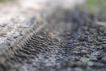 Car or truck trace on a country road