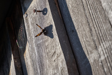 old wooden door with lock