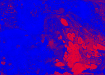 Fototapeta premium abstract pink blue marble texture, acrylics art