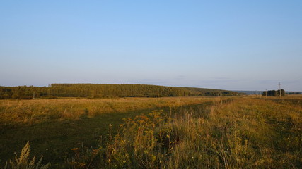 sunset over wheat field