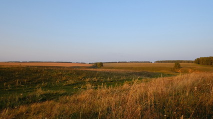 sunset over green field